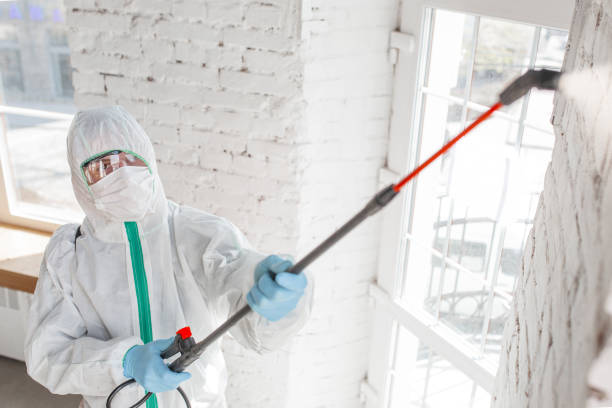Best Mold-Related Health Consultation  in Churubusco, IN