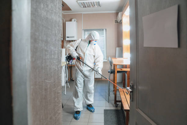 Best Post-Construction Mold Inspection  in Churubusco, IN