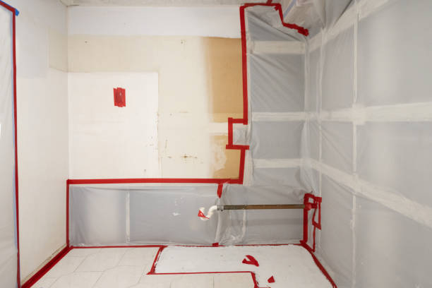 Best Post-Remediation Verification Testing  in Churubusco, IN