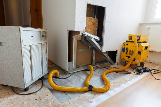 Best Dehumidification Services  in Churubusco, IN