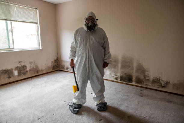 Best Asbestos and Lead Testing During Mold Inspection  in Churubusco, IN